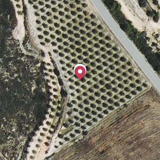 Foto aérea de la subasta en Fayon