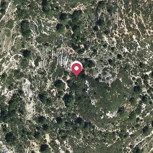 Foto aérea de la subasta en Vallmoll