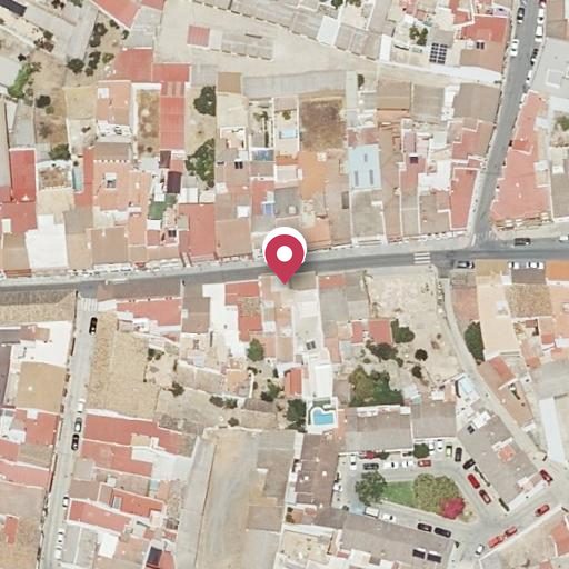 Foto aérea de la subasta en Gibraleón