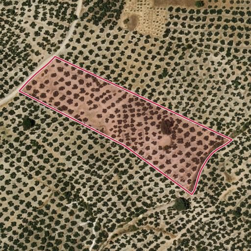 Foto aérea de la subasta en Villares (los)
