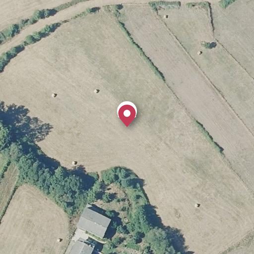 Foto aérea de la subasta en Monforte de Lemos