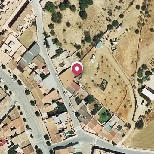 Foto aérea de la subasta en Villanueva de la Concepcion