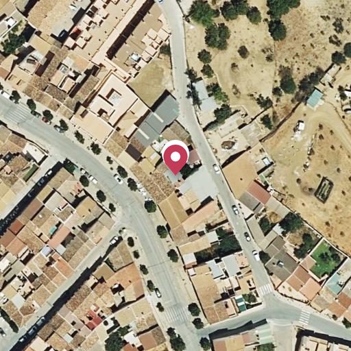 Foto aérea de la subasta en Villanueva de la Concepcion