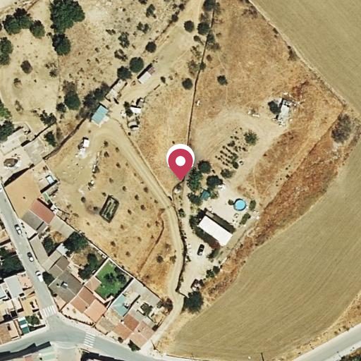 Foto aérea de la subasta en Villanueva de la Concepcion