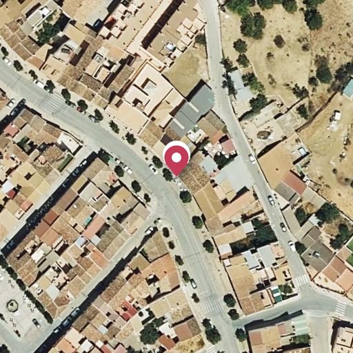Foto aérea de la subasta en Villanueva de la Concepcion