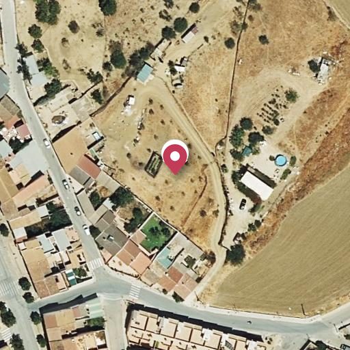 Foto aérea de la subasta en Villanueva de la Concepcion