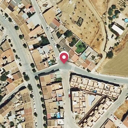 Foto aérea de la subasta en Villanueva de la Concepción