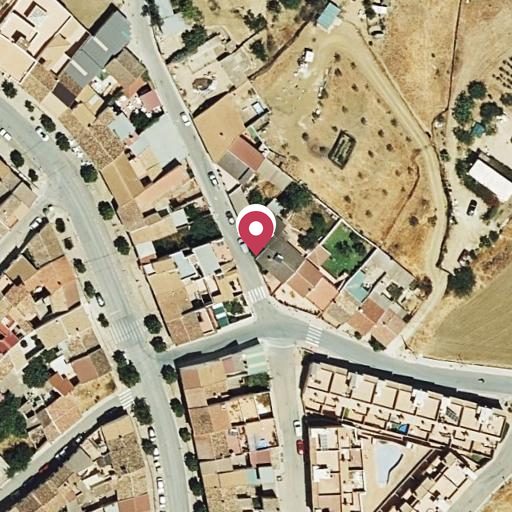 Foto aérea de la subasta en Villanueva de la Concepcion