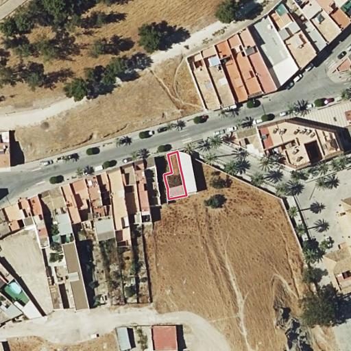 Foto aérea de la subasta en Moron de la Frontera