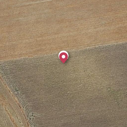 Foto aérea de la subasta en Mairena del Alcor