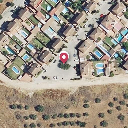 Foto aérea de la subasta en Almensilla