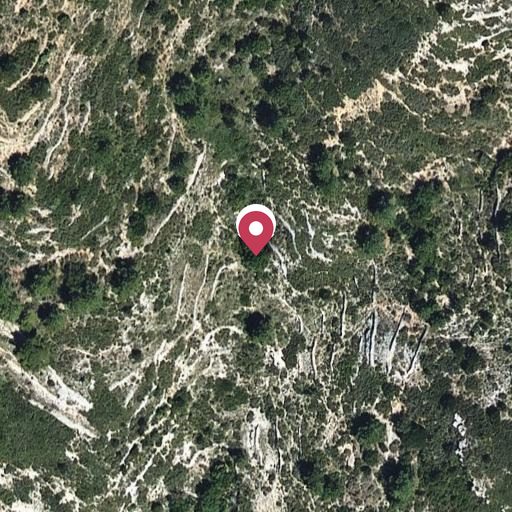 Foto aérea de la subasta en Vandellos