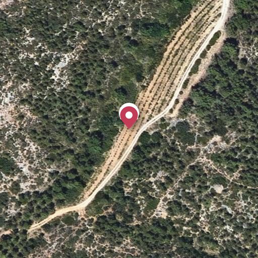 Foto aérea de la subasta en Olivella