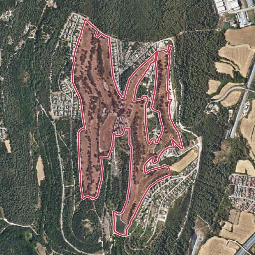 Foto aérea de la subasta en Sant Julià de Ramis