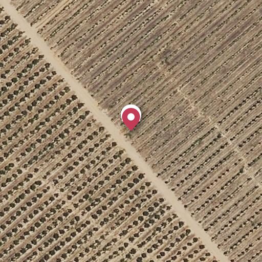 Foto aérea de la subasta en Isla Cristina