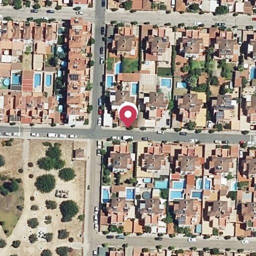 Foto aérea de la subasta en Castilleja de Guzmán