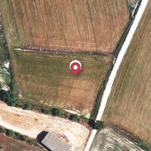 Foto aérea de la subasta en Tárrega