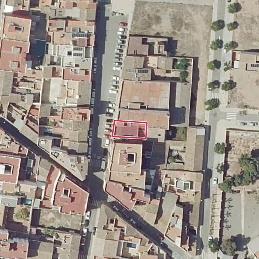 Foto aérea de la subasta en Alfara del Patriarca