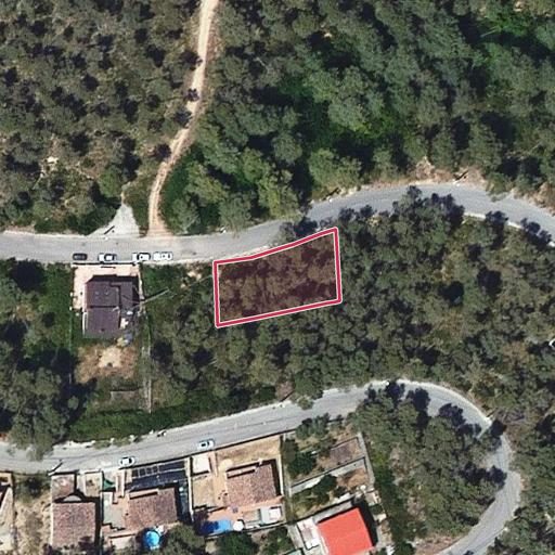 Foto aérea de la subasta en Olivella