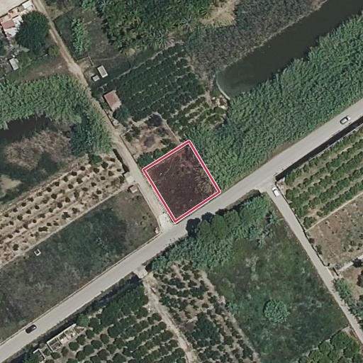 Foto aérea de la subasta en Xeraco