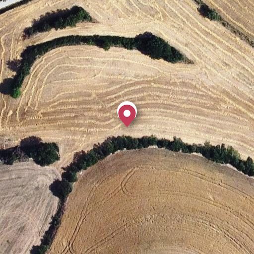 Foto aérea de la subasta en Calonge de Segarra
