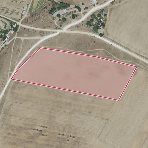 Foto aérea de la subasta en Valdetorres de Jarama