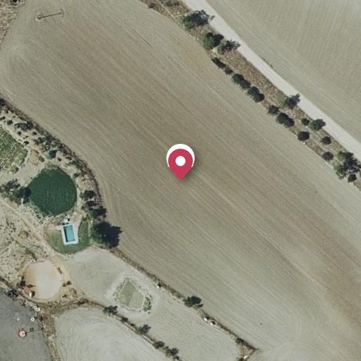Foto aérea de la subasta en Pinto