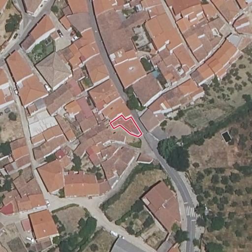 Foto aérea de la subasta en Berzocana