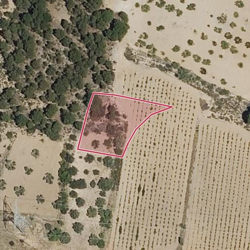 Foto aérea de la subasta en Venta del Moro